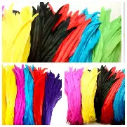 Plumas Gallo Mini x50