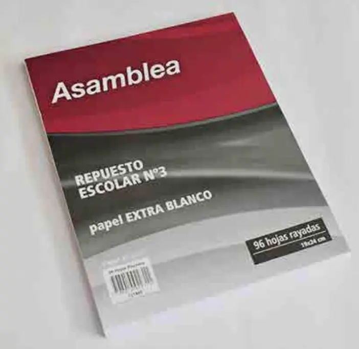 Repuesto Asamblea CD / RY 96 Hojas