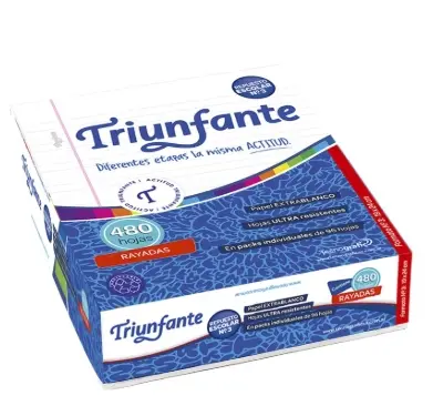Repuesto Triunfante 96 Hojas RY