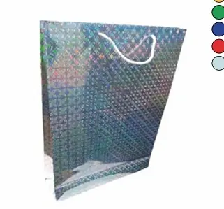 Bolsa de Regalo Lisa Mediana 