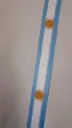 Cinta de Argentina Nro 1