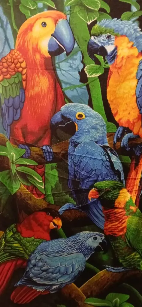 Toallon Loro  Algodon  