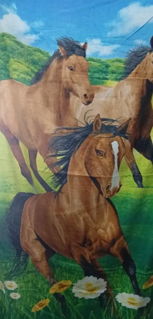 Toallon Caballo  Algodon  