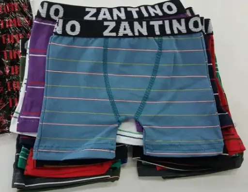 Boxer Zantino Juvenil Estampado X1