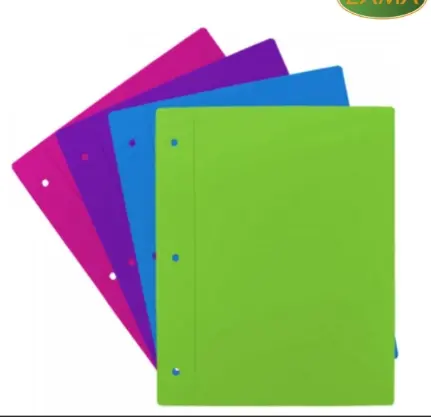 Tapa de Carpeta P/Armar x2 