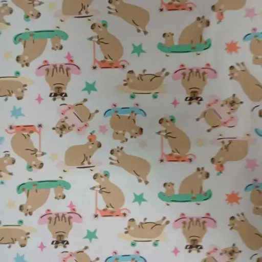 Tropical Mecanico DISNEY