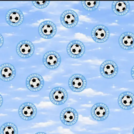 Modal Pelotas