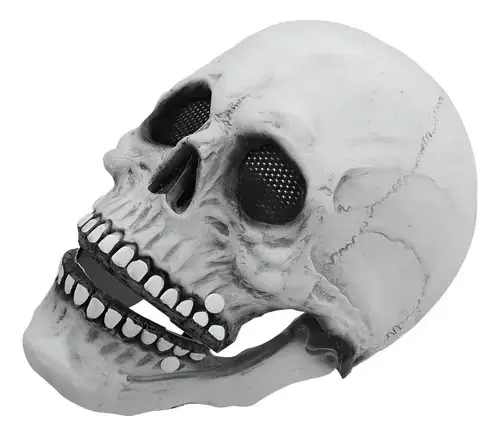 Mascara Calavera