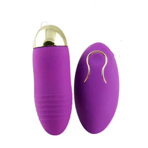 Vibrador Con Control 