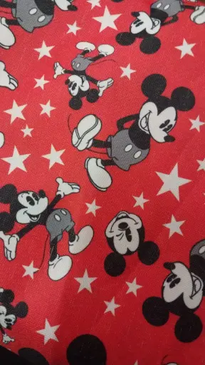 Cordura Mickey Mouse